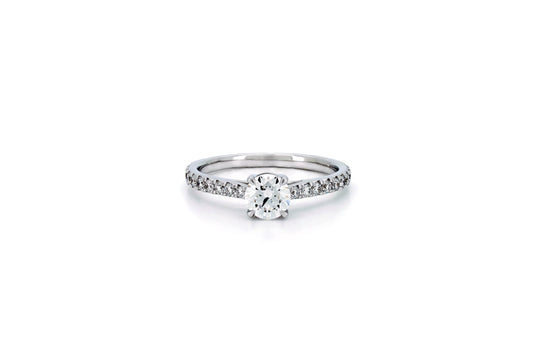 Classic half pave 4 prong ring RD 0.52 E VS1 IGI in white gold