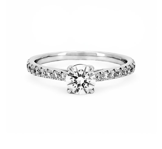 Cathedral high setting half pave ring RD 1 E VVS1 IGI in white gold