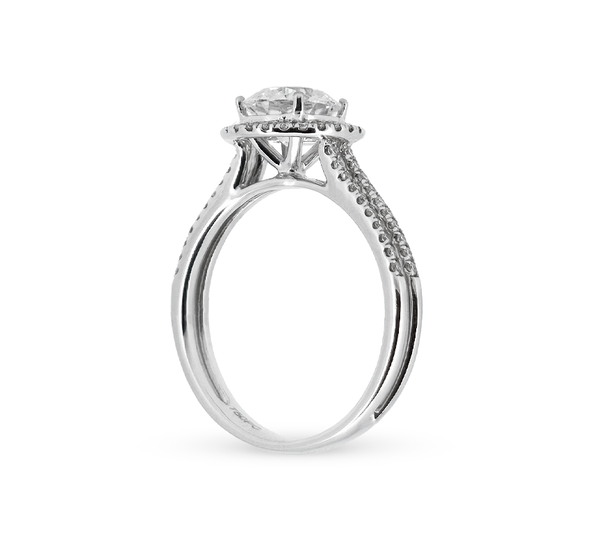 Double halo ring RD 0.54 D VS1 IGI in white gold